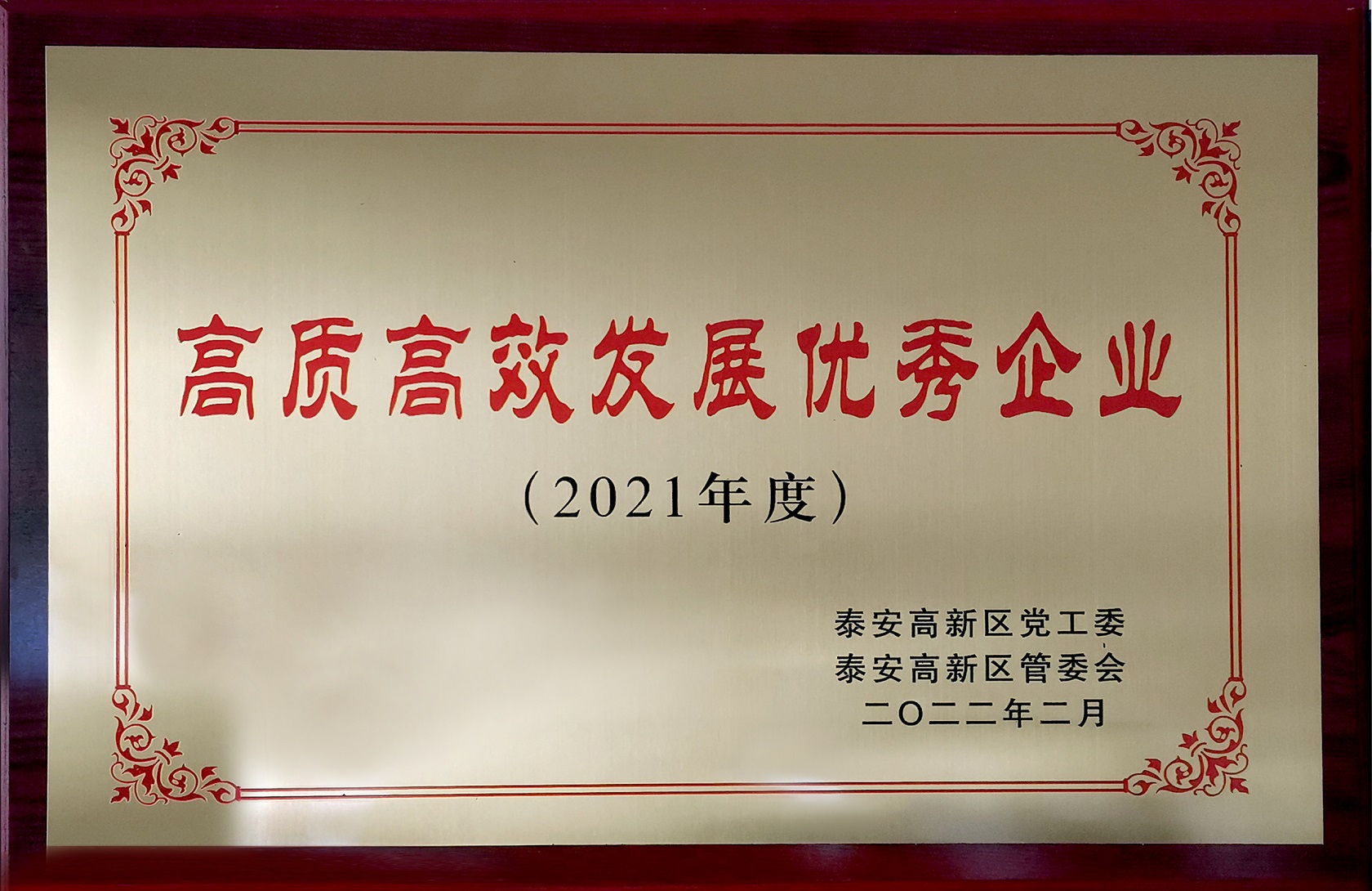 2021年度高质高效发展优秀企业